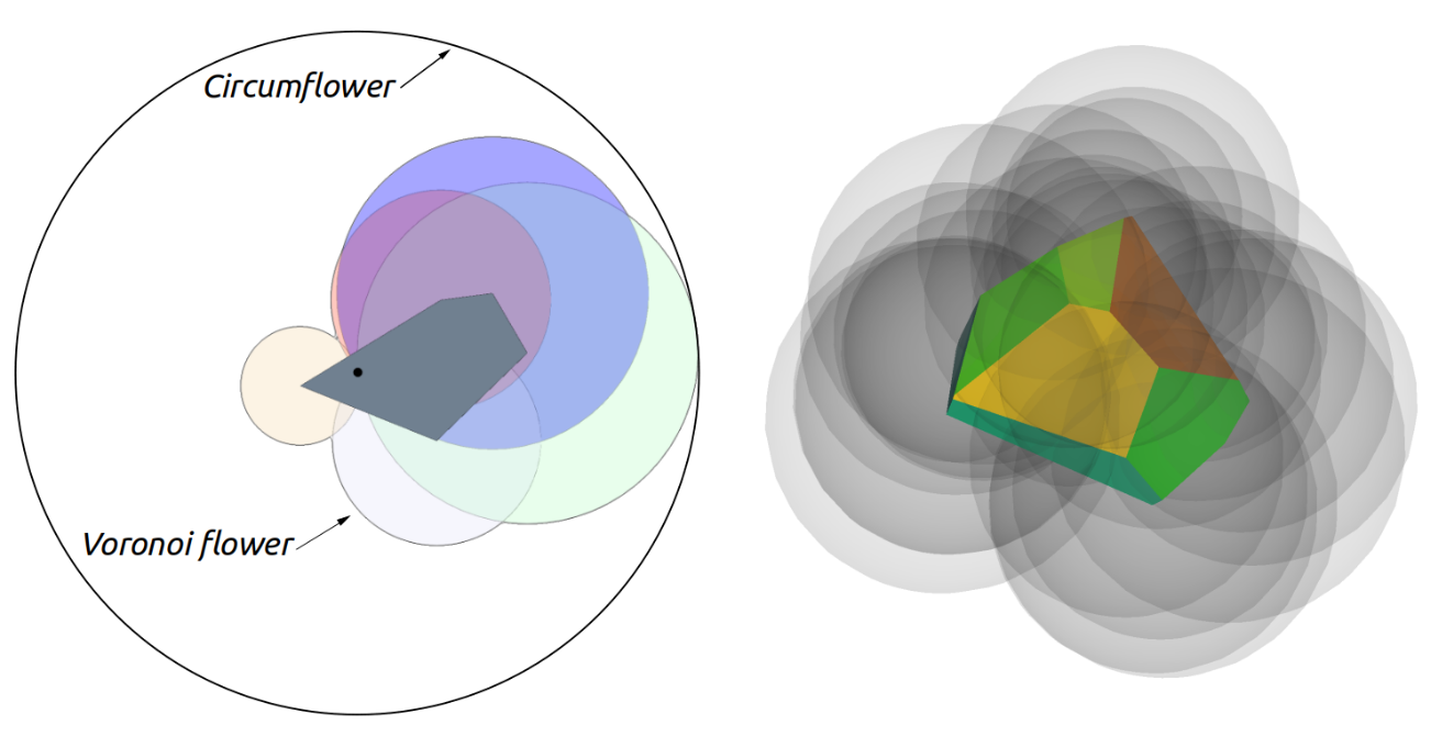 Voronoi tile, flower, and circumflower