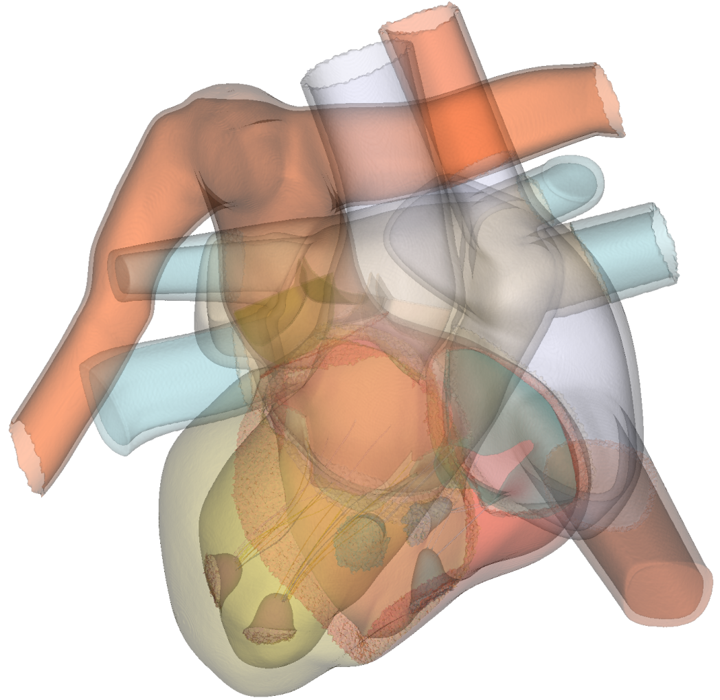 Generalized surface net