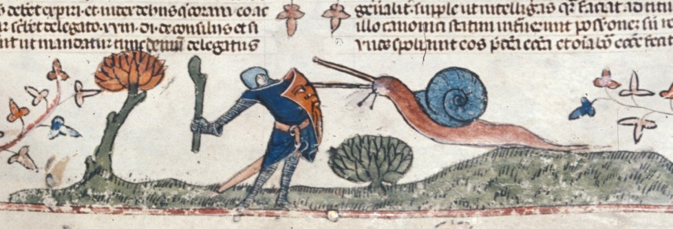 _images/knight-vs-snail.jpg